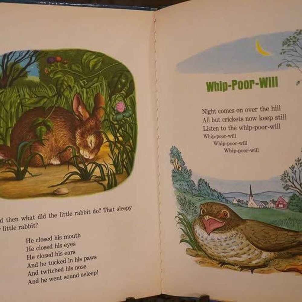 Unbranded Multi Books - Picture 2 of 3